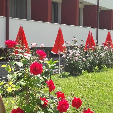 Paradise Отель