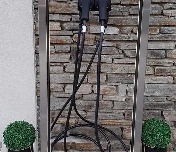 Paradise Tsigov Chark