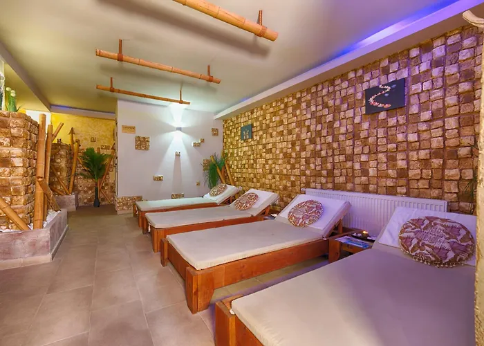 Paradise 3* Tsigov Chark